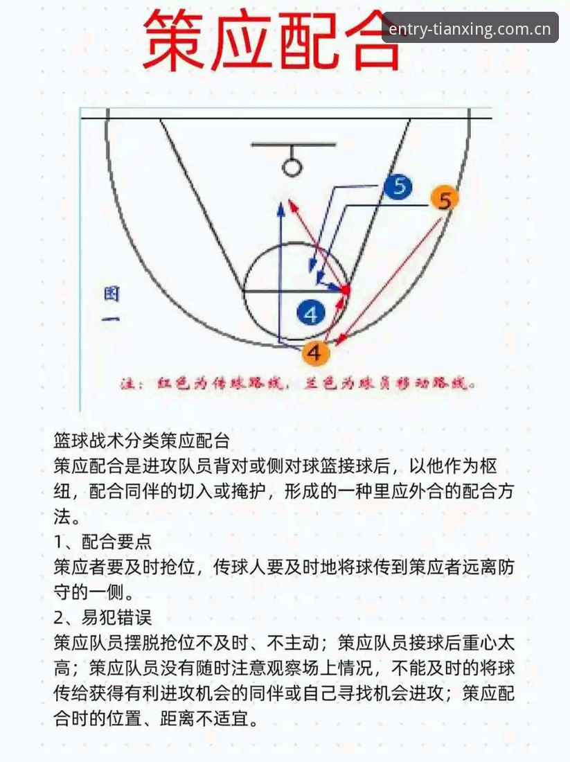 北京男篮G4绝境突围深度解析：后场杀伤力与战术变量的全面解读