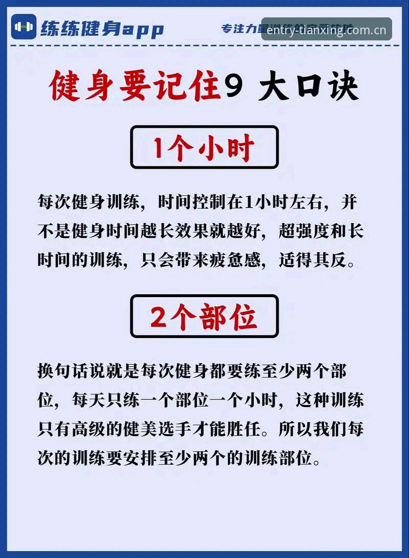 天行体育下载 天行体育下载实用指南:新手入门必备知识